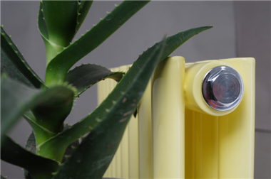 家用星欧娱乐图片，星欧注册家用星欧娱乐图片