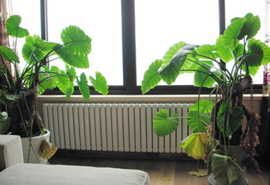 星欧娱乐安装效果图