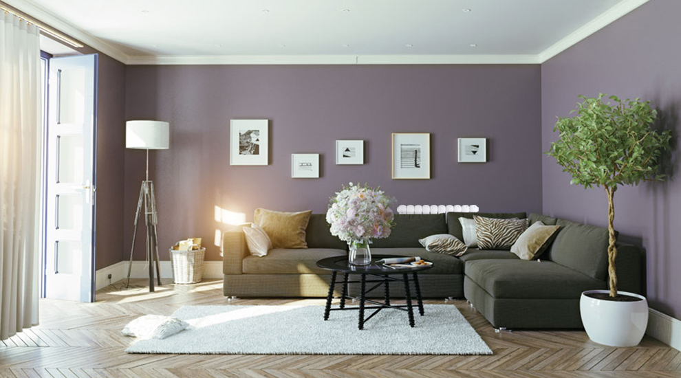 星欧娱乐厂家,星欧娱乐价格