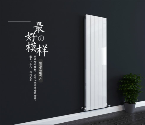 铜铝复合星欧娱乐