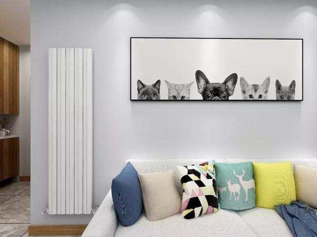 铜铝复合星欧娱乐